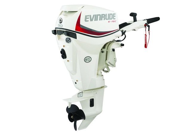 2018 Evinrude E-TEC 30 HP E30DRSL Outboard Motor image 0