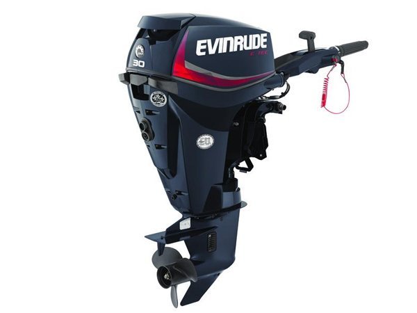 2018 Evinrude E-TEC 30 HP E30DRGL Outboard Motor image 0