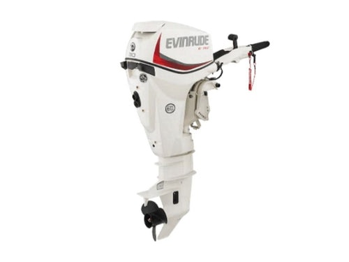 Evinrude E30DRG E TEC Outboard Motor image 0