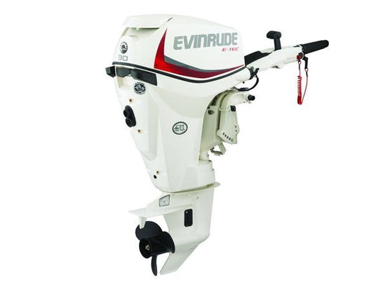 2018 Evinrude E-TEC 30 HP E30DTSL Outboard Motor image 0