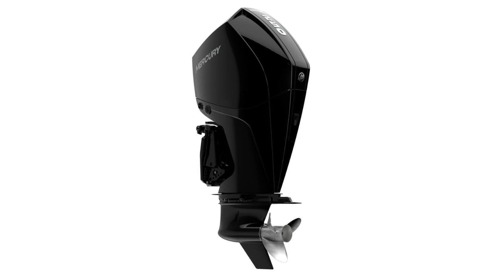 Mercury 250L FourStroke DTS Outboard Motor image 0
